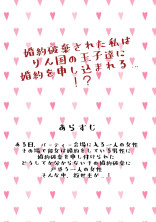 婚約破棄された私は隣国の王子たちに婚約を申し込まれる…!?