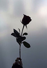 チングlove ほたて師匠見るかな←