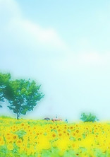 俺の部屋☆*。