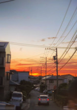 すき