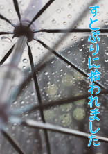 すとぷりに拾われました!?