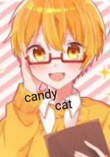 candy cat