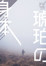 琥珀の身体