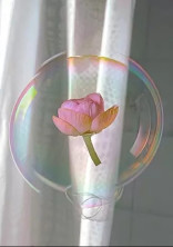 ジャニーズ界のお姫様🌹