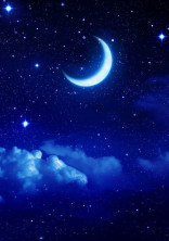 夜の幻想に惑わされ…