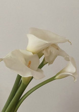 甘 美