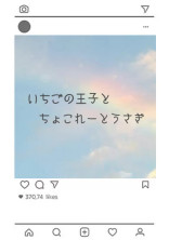 いちごの王子とちょこれーとうさぎ