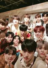 12人のオッパたち