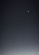 次 の 満 月 の 夜 、一 緒 に