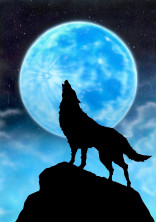 『男主』白狼学園🐺