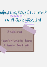 姉はいらないらしいので1ヶ月後に消えます