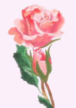 貴方が教えてくれた幸せな時を。