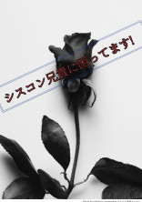 シスコン兄貴に困ってます!