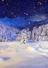 Snow Magic