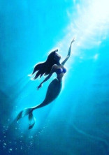 🐚MERMAID🌊