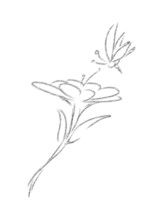 永遠の蕾