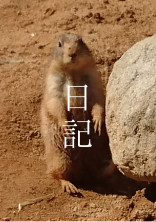すずりの日記