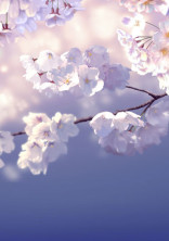 ドラゴン桜〜妄想〜