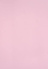 🌸コメ企画🌸