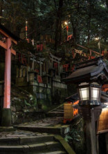 私の体には狼神様が住んでいる