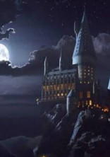 Harry Potter〜冷たい少女が恋をする〜