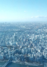 お話するよーん( ◜௰◝ )