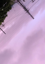 私は喋りません。