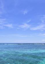 ワンピース 〜海の姫〜