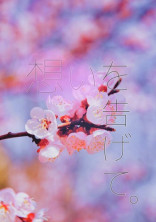 想いを告げて 。