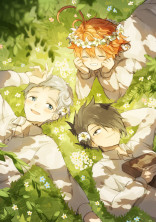 ノーマンに愛されすぎて困ってます𓂃。:°..♡*