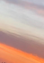 君達が守ると言うから助けを求めてしまう