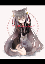 野良猫の私と我々だ