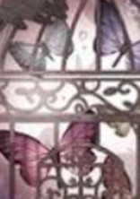 Iris子育て☆(?)