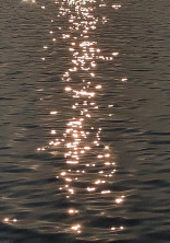 今日もきみは海でわらう