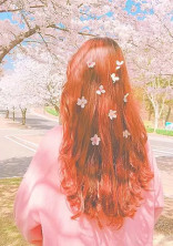 桜 花 の お 話 部 屋