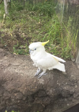 ざ つ だ ん 。