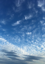 なんでここにいるんだろ