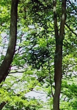 君と街が終わるまで