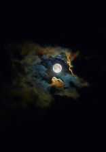 科学ヲタクは剣と魔法のファンタジー世界に抗うようです。