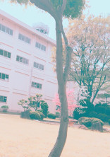 一話完結物語。