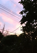 ネタ小説=短編集 ーネタ思いついた瞬間ここに書いてくから〜別にパクリおk。
