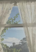 『 枠決め 』
