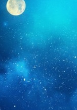 🌟輝くのは月と怪盗🌙*.。