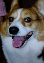 こんな人生もう嫌だ〜