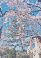 私の上司は優男です。