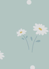Flower🌼