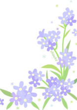 勿忘草