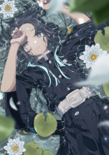 無一郎の幼馴染は最強です。