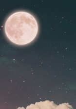 星降る夜に僕はただ1人涙する。
