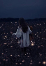 星の雨